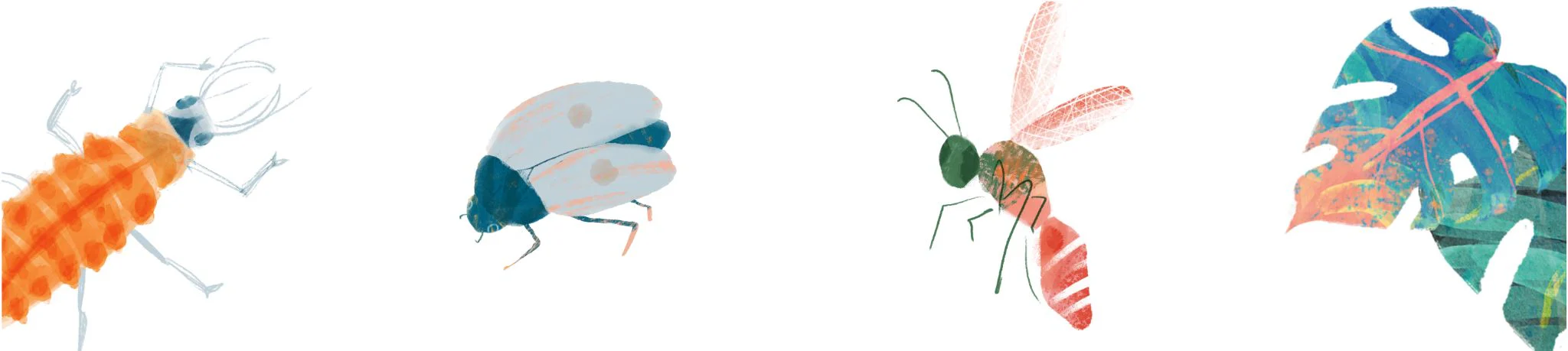 Natuurlijke Kracht Tegen Plagen