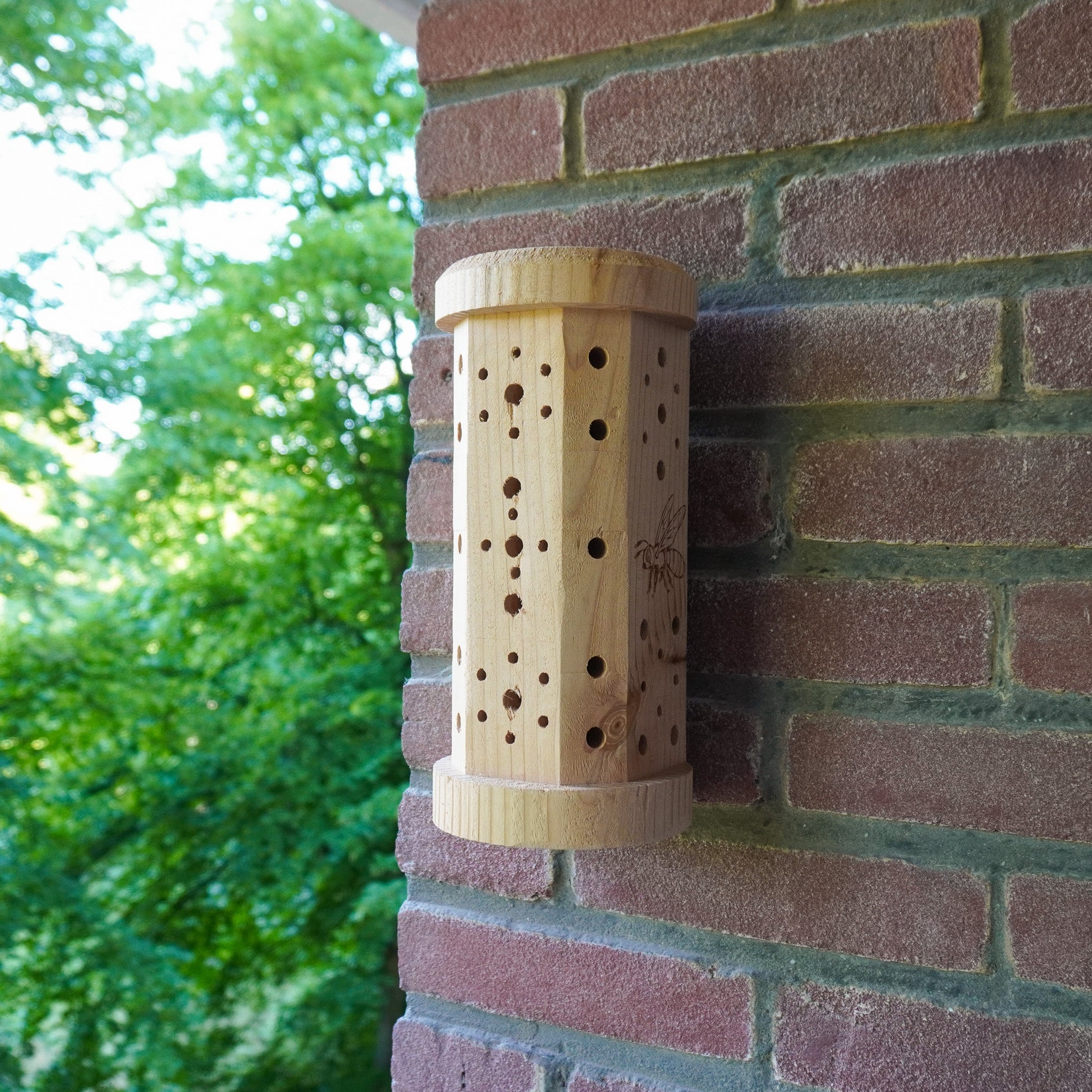 Miniatuur 2