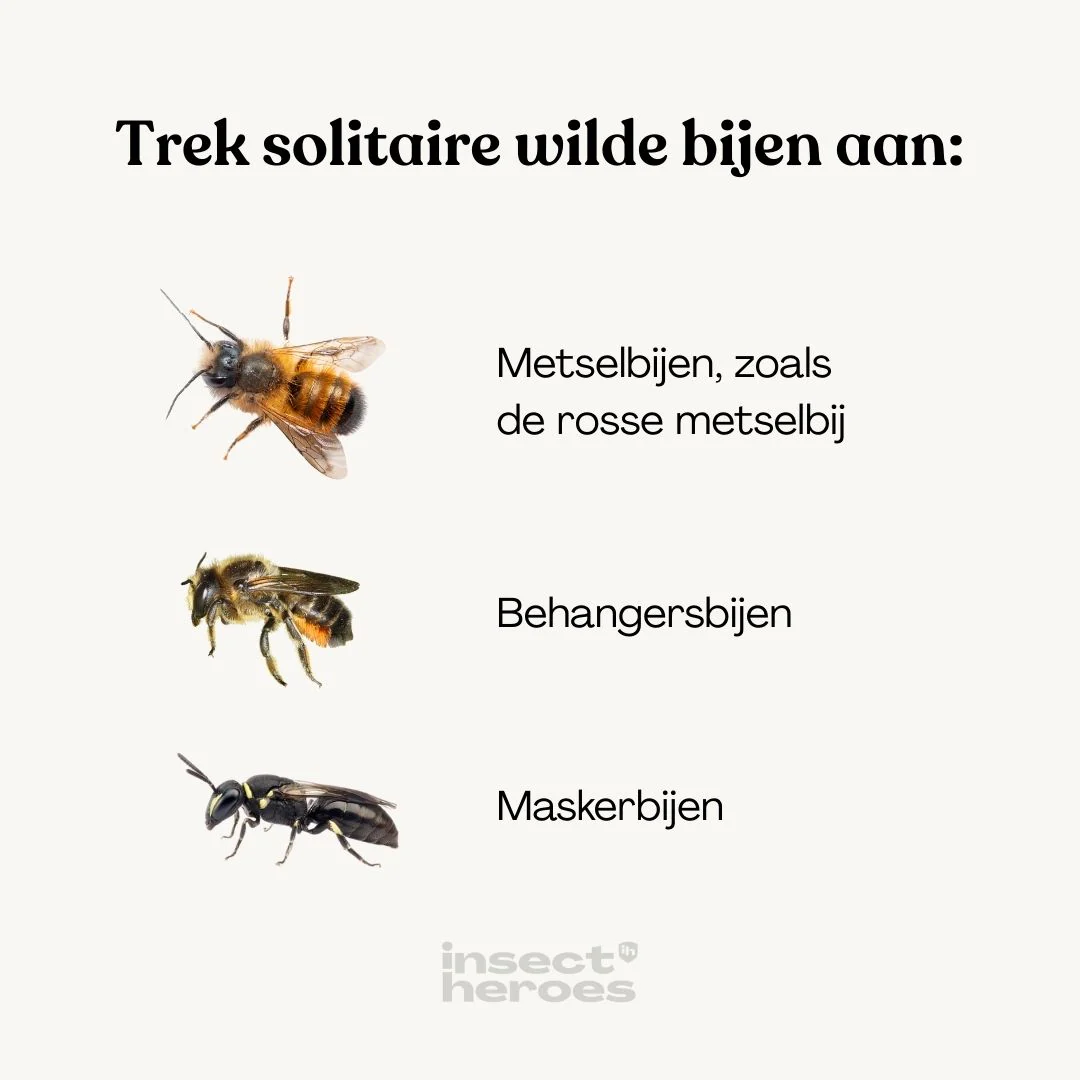 Productafbeelding 4