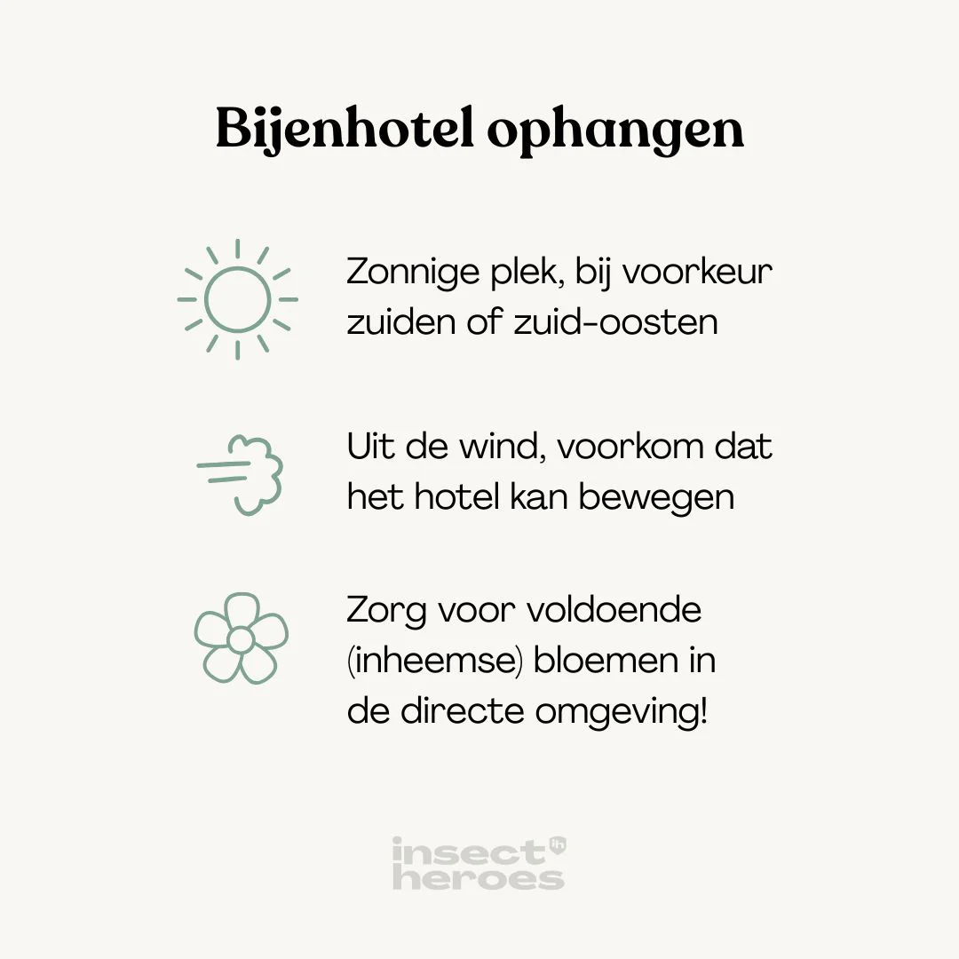 Productafbeelding 5