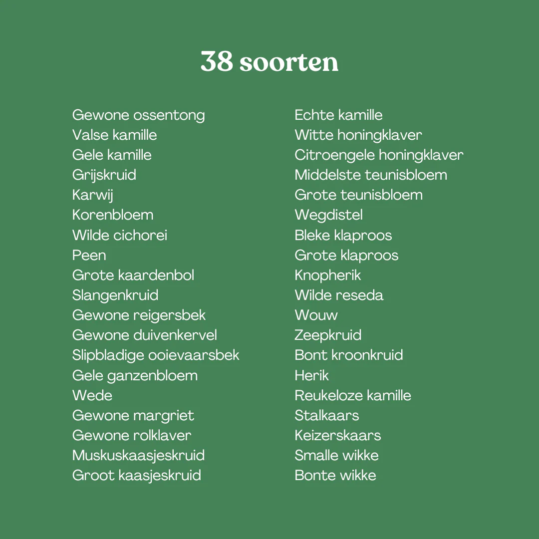 Productafbeelding 6