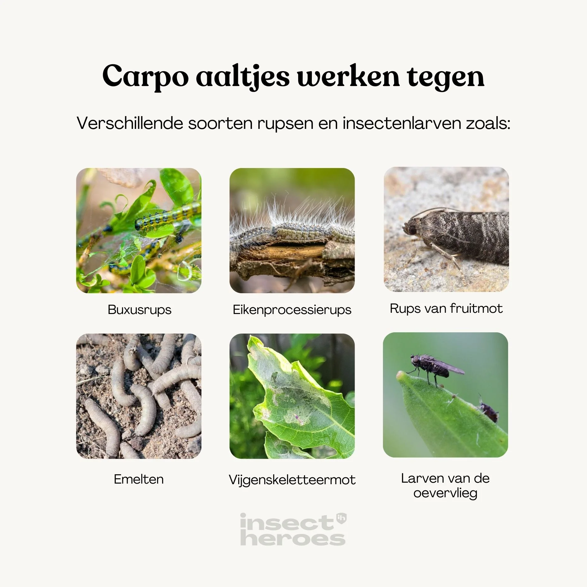 Productafbeelding 3