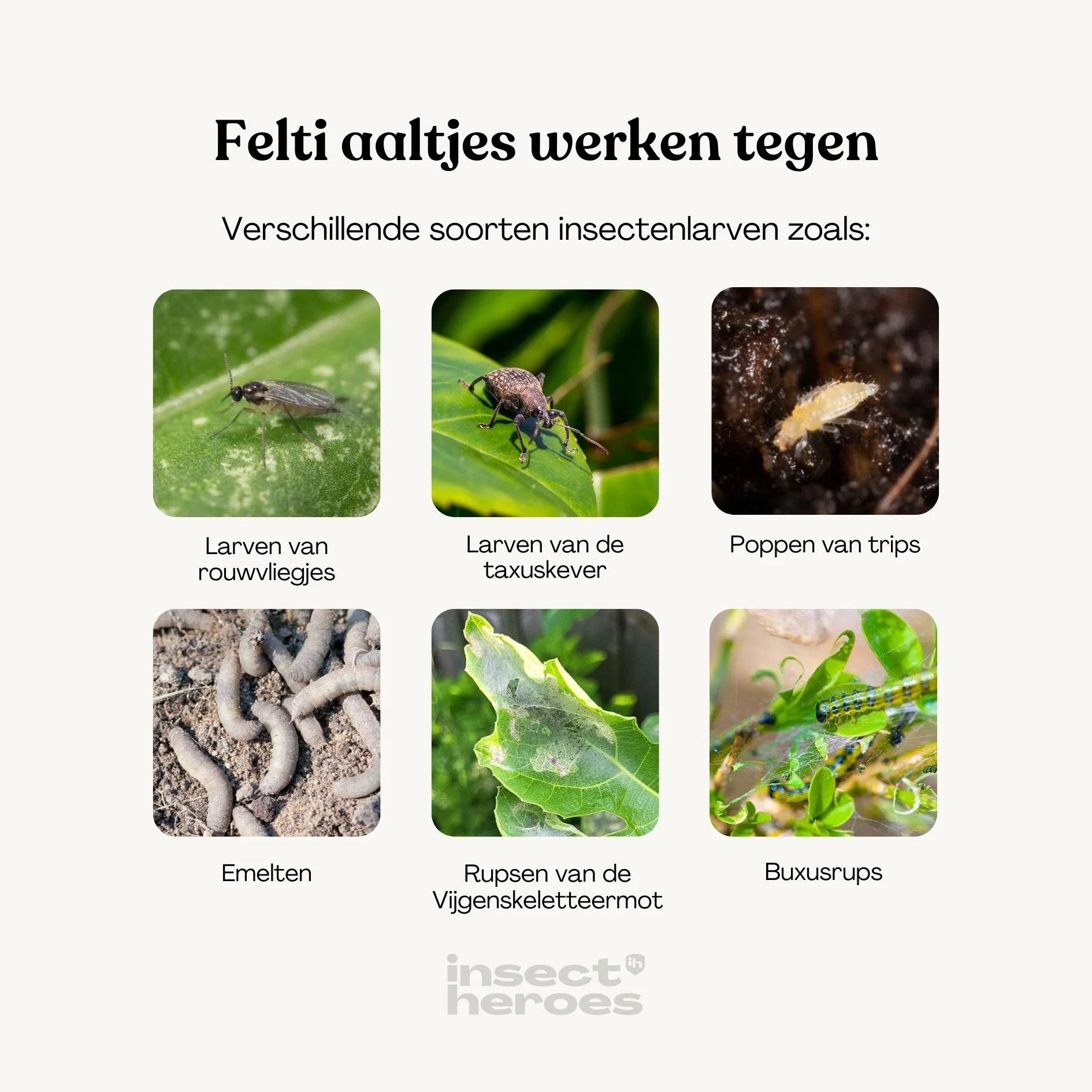 Productafbeelding 5