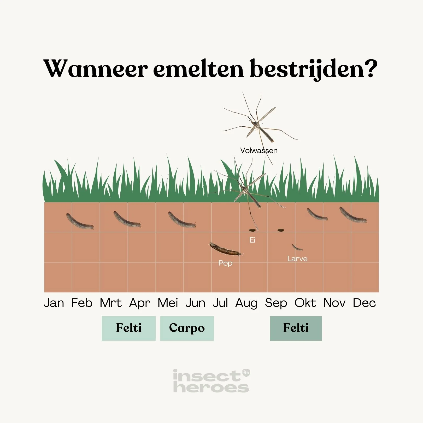 Productafbeelding 5