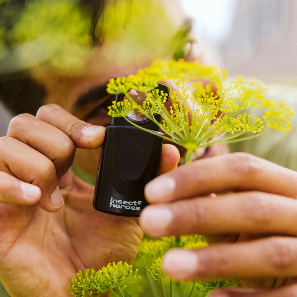 Miniatuur 2