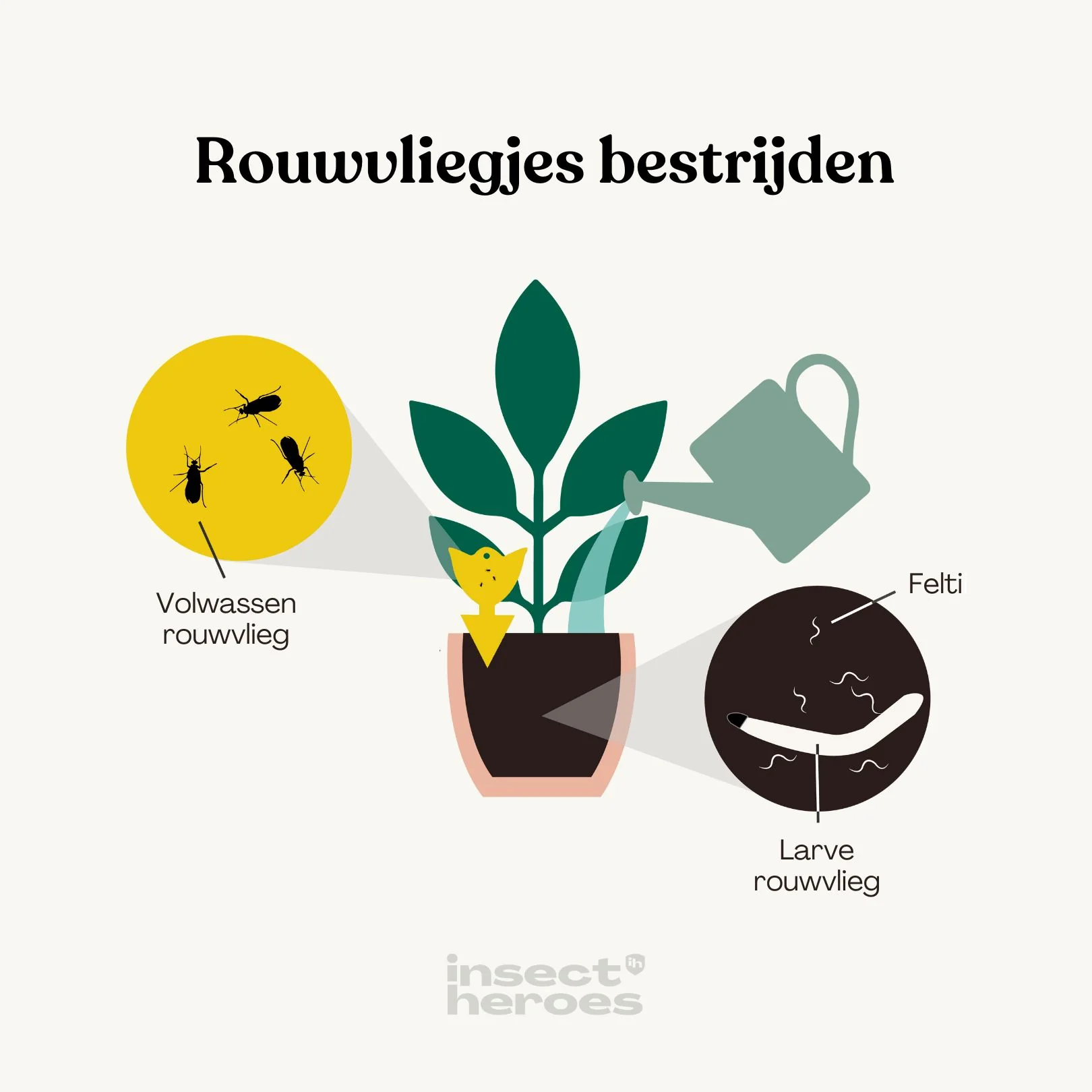 Productafbeelding 6