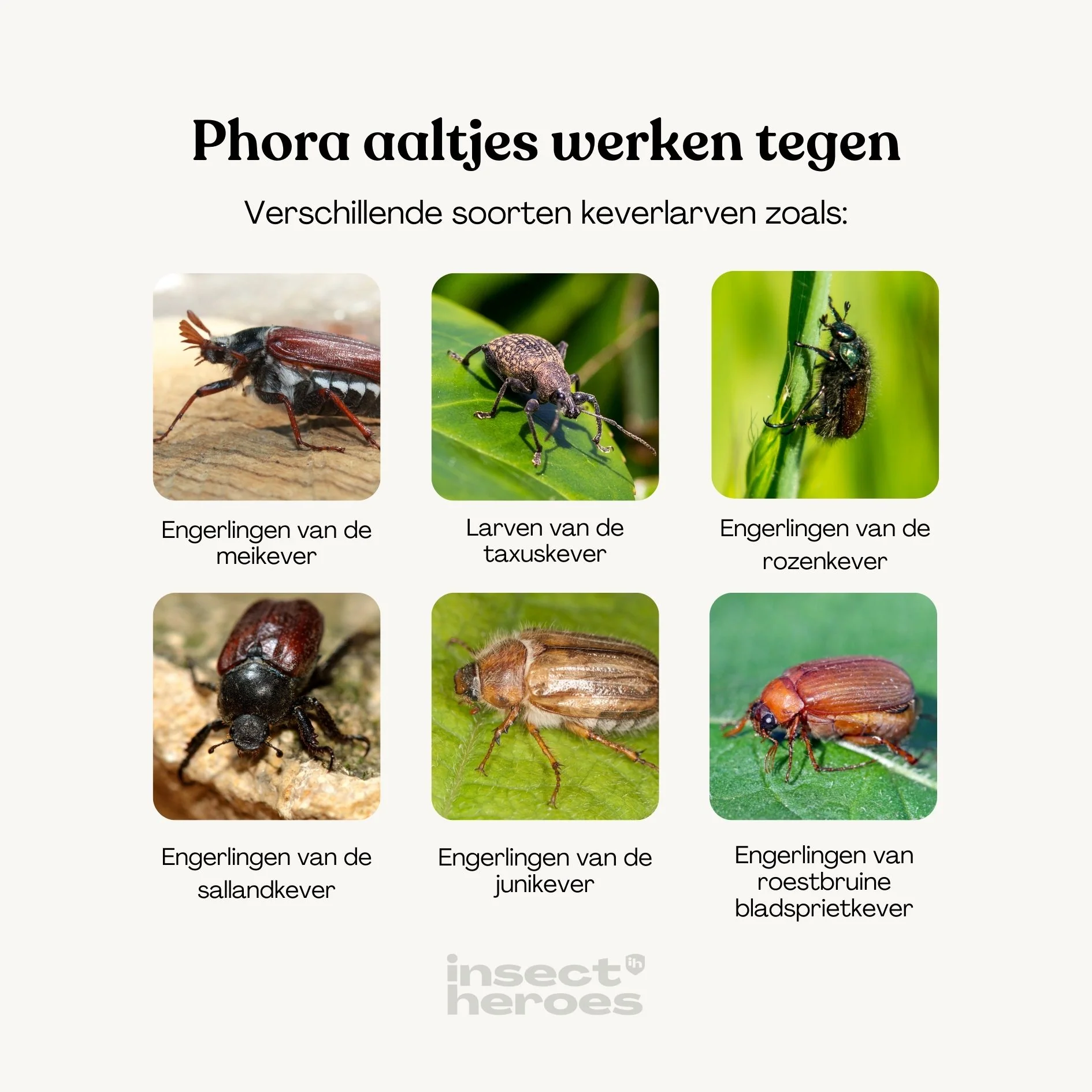 Productafbeelding 3