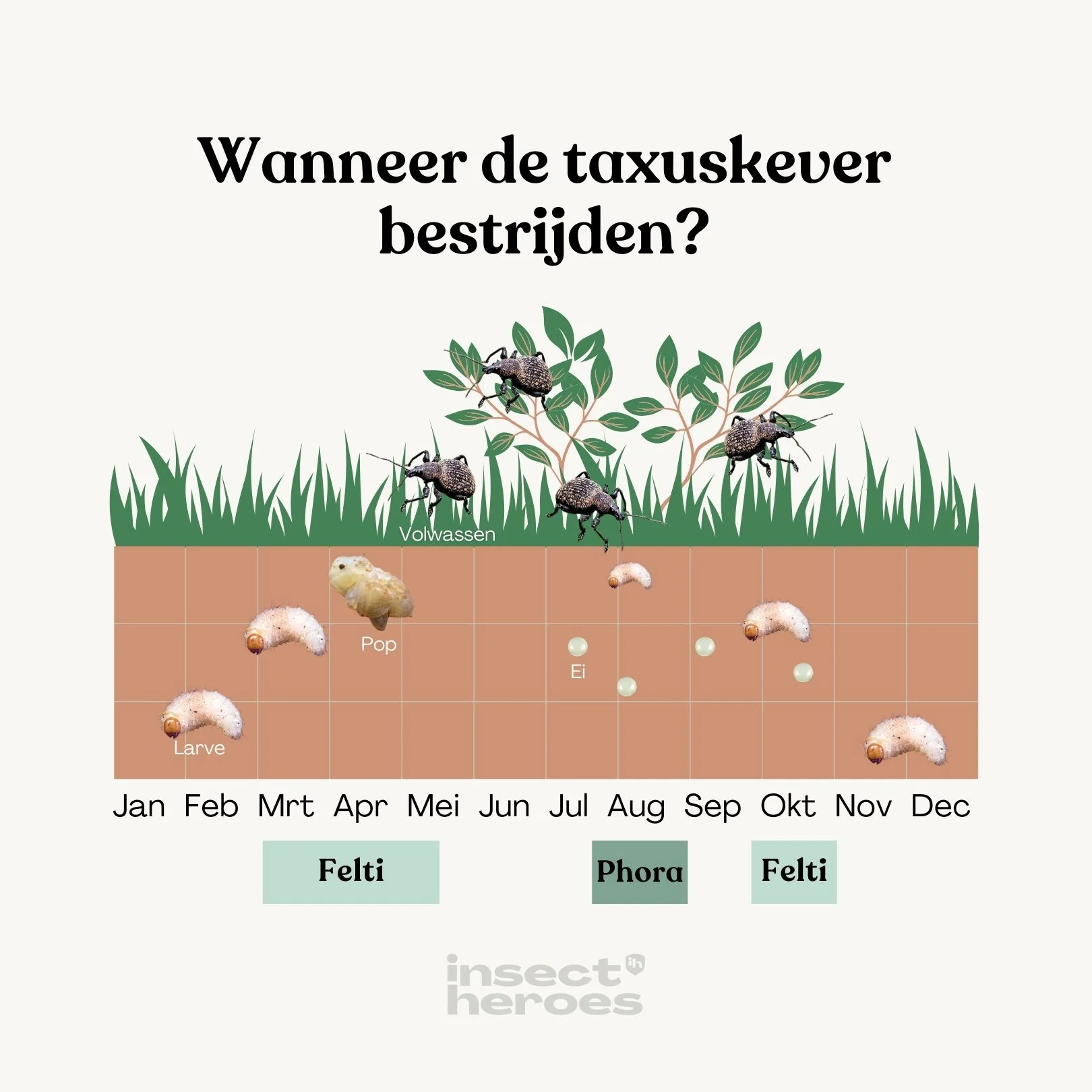 Productafbeelding 5