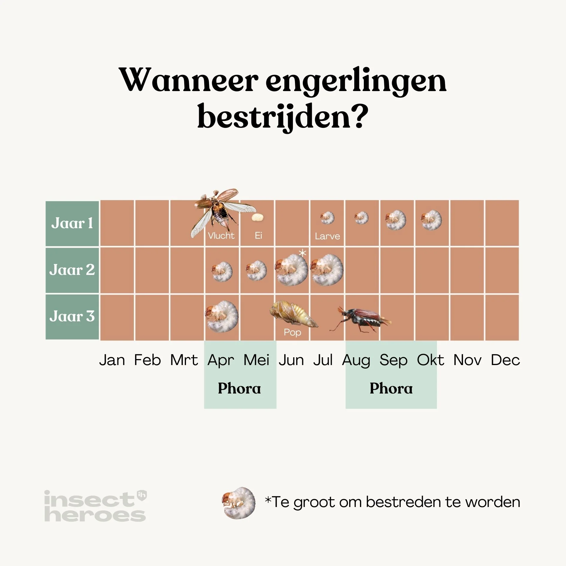 Productafbeelding 6