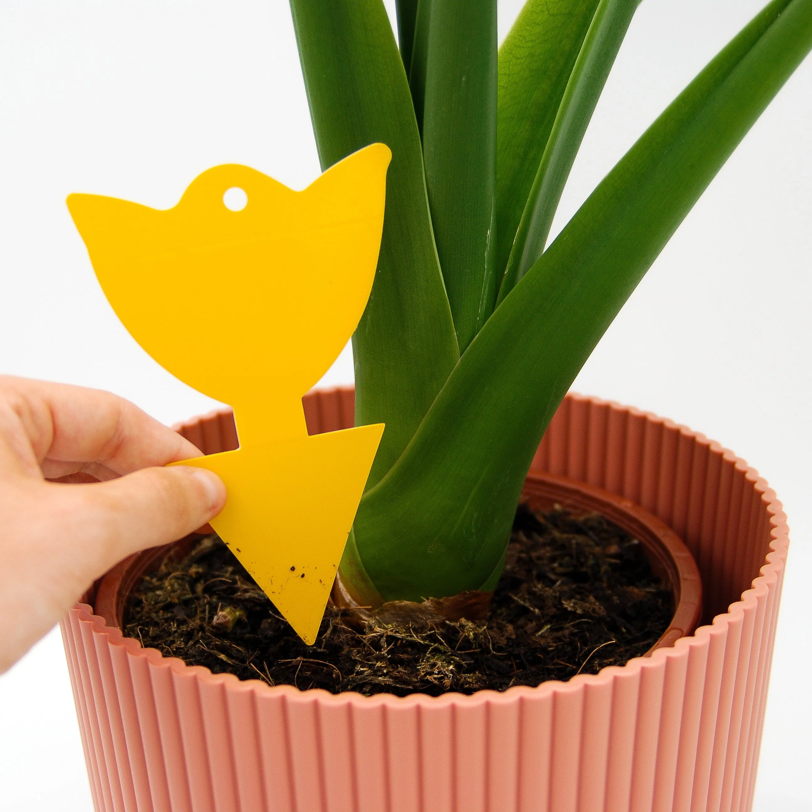 Miniatuur 2