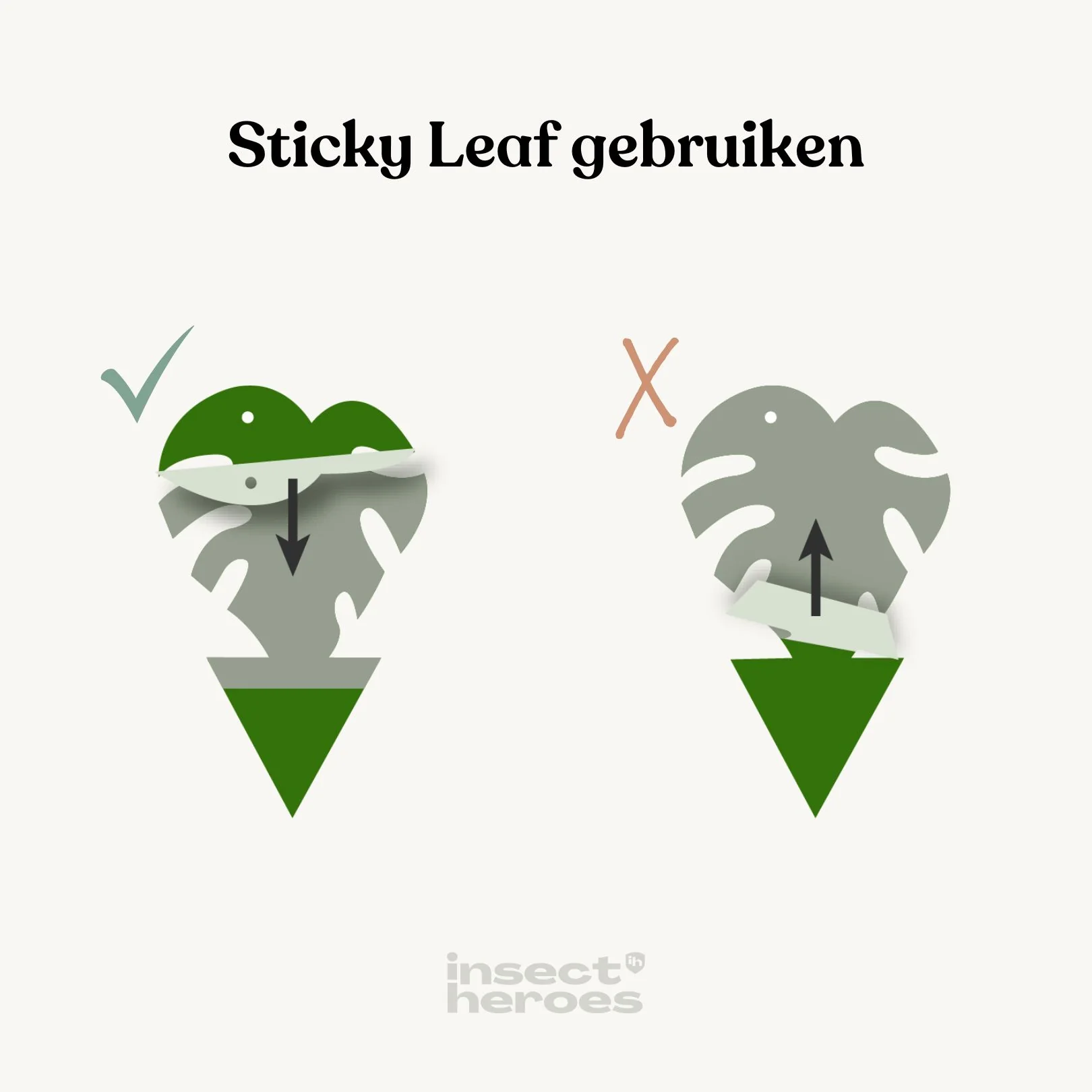 Productafbeelding 3